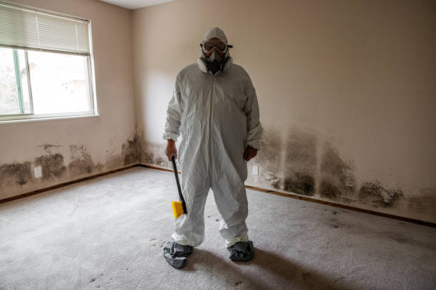 Best Emergency Mold Removal  in Gardiner, ME